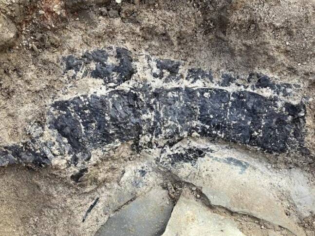 2호 구덩이에서 나온 칠피 갑옷의 조각들. 구멍에 줄을 잇댄 찰갑 얼개다. 국립부여문화재연구소 제공