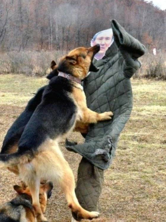 북한의 대남 선전용 웹사이트 '우리민족끼리'가 2013년 공개한 김관진 당시 국방부장관을 겨냥하고 실시한 훈련 모습. [사진 우리민족끼리]