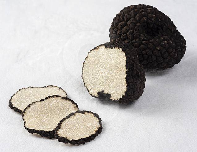 송로버섯. [게티이미지]