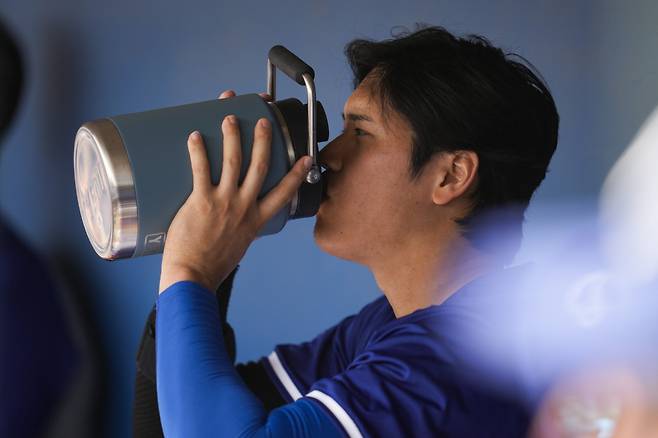 LA 다저스 오타니 쇼헤이가 28일(한국시각) 시카고 화이트삭스와의 시범경기 도중  더그아웃에서 통을 들고 음료를 들이키고 있다. AP연합뉴스