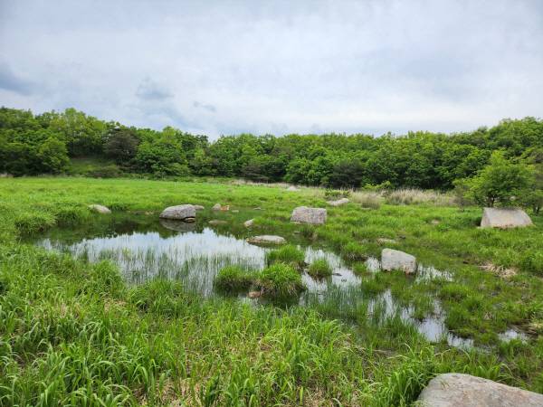 경남 양산 능걸산 산지 습지. 양산시 제공