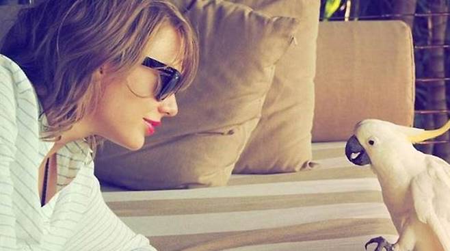 인간과 코카투의 대화