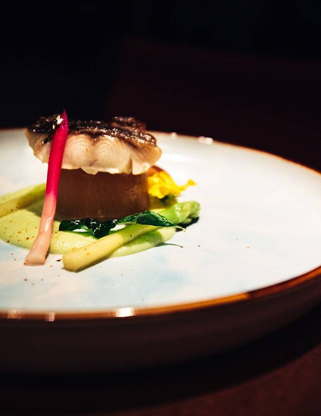 간장에 졸인 무와 고등어구이. 아보카도 소스