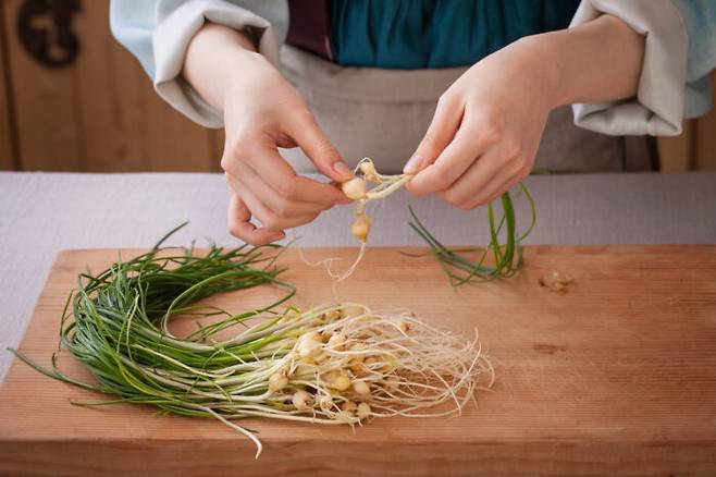 식용이 가능한 봄나물 중에서도 두릅, 다래순, 고사리 등은 소량의 독성분을 함유하고 있기 때문에 반드시 끓는 물에 데쳐 독성분을 제거한 후 섭취해야 한다. [사진=클립아트코리아]