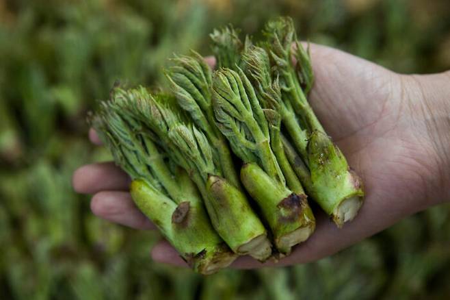 [사진=클립아트코리아]