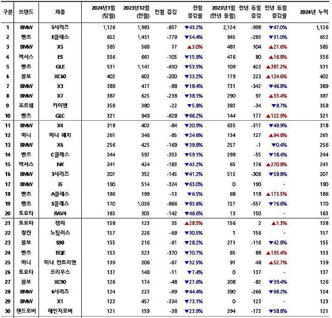 2024년 1월, 수입 차량 모델별 신차등록 대수 / 출처=카이즈유데이터연구소