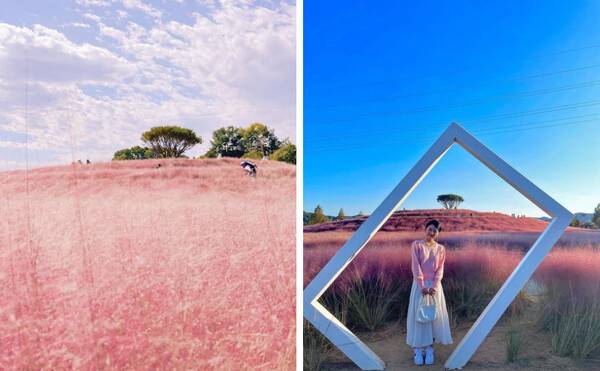 합천 가볼만한 곳 BEST 5 /&nbsp;​​​​​​​@liamood._.v /&nbsp;@extravagantmelancholy