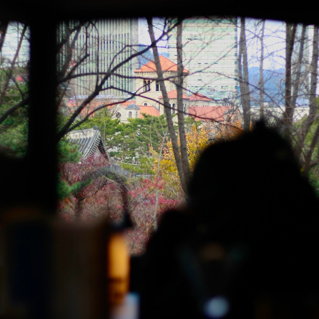 마이시크릿덴 창에서 보이는 풍경 / 사진=마이시크릿덴 제공