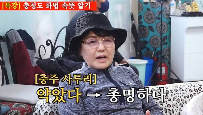 (유튜브 '스튜디오 수제')