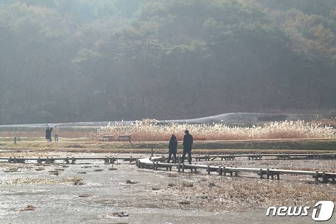 2일 충북 청주시 상당산성 자연마당 생태습지를 찾은 시민이 꽃샘추위에도 나들이를 나와 거리를 거닐고 있다.2024.3.2./뉴스1 ⓒ News1 임양규 기자