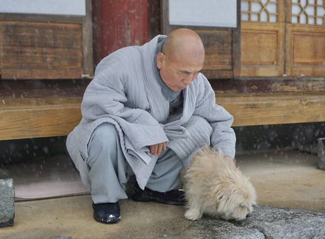 Venerable Hyunjong pets Huindung, a 21-year-old dog who lives at Hyundeoksa, Feb. 1. (No Kyung-min/The Korea Herald)