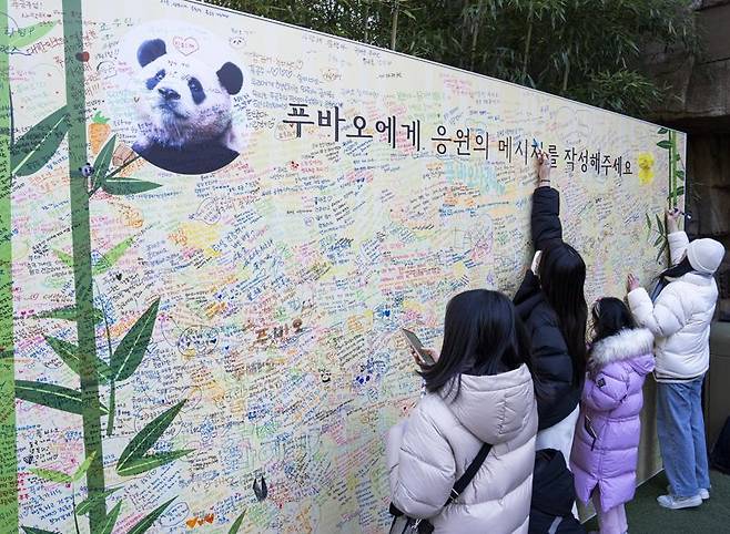 판다월드에 설치된 푸바오 응원 메시지 월. 에버랜드 제공