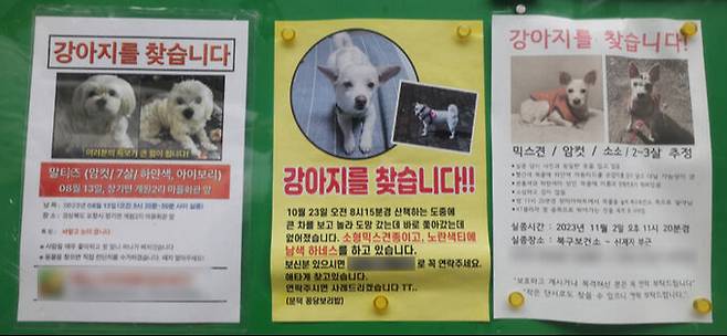 포항시 동물보호센터 입구 게시판에 실종동물을 찾는 게시물이 붙어 있다.