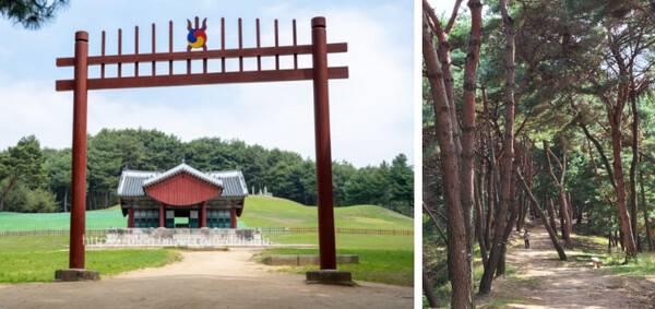 온라인 커뮤니티