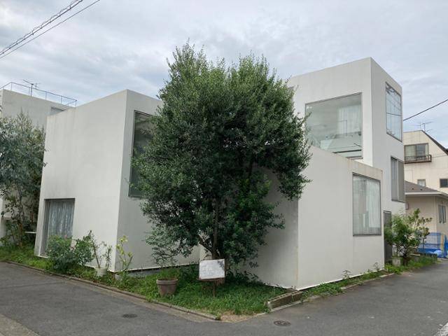 일본 대표 건축사사무소인 사나가 설계한 니시자와 류에의 모리야마 주택.