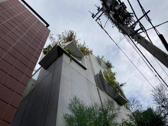 건축가 아키히사 히라타가 설계한 공동주택, 트리니스 하우스.