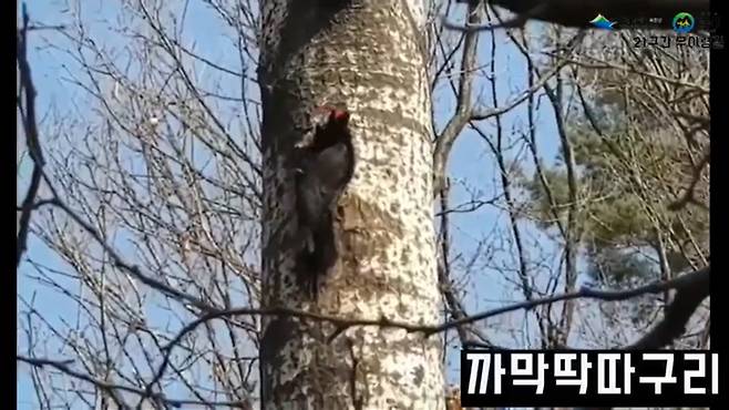 [북한산국립공원 유튜브]