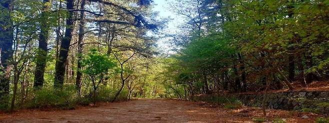 북한산우이령길 [국립공원연구원]