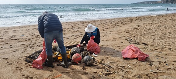 바다활동지킴이들이 중문색달해수욕장에서 해양쓰레기 수거작업을 하고 있다.(2023년 활동) [사진=서귀포시]
