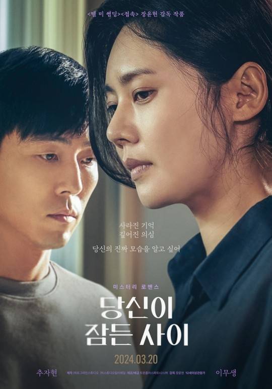 ‘당신이 잠든 사이’ 포스터