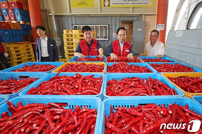 전북자치도 임실군이 명품 고추의 명성을 높이고, 신기술을 보급하기 위해 ‘노지 고추 맞춤형 연구과제’를 추진한다.(임실군제공)2024.3.6/뉴스1