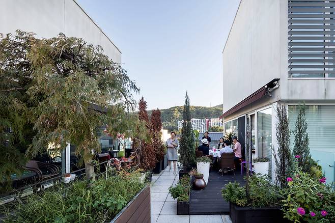 야마모토 리켄이 설계한 경기 성남시 타운하우스 '판교 하우징'. 주민들이 어울리는 공동 정원 주위에 각 세대를 배치하고 현관에 유리를 써서 소통을 강조했으나 초기에는 사생활 침해 논란 등으로 미분양됐던 프로젝트다. /사진가 남궁선