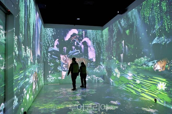 태백산 하늘전망대 공식 개장 시 공개될 미디어아트관 ⓒ박상준 여행작가