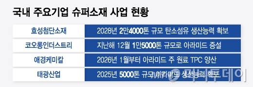 국내 주요기업 슈퍼소재 사업 현황/그래픽=윤선정