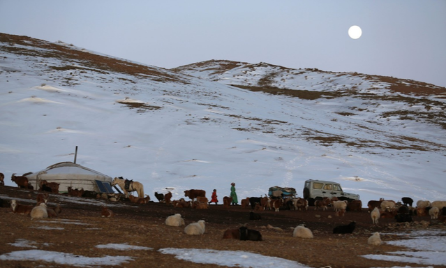 몽골 유목민 주거시설 게르. 연합뉴스