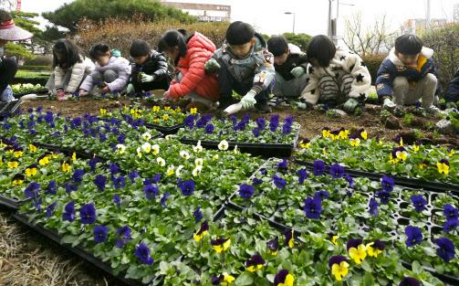 7일 오전 광주 북구청 광장 화단에서 북구청직장어린이집 원생이 공원녹지과 도시녹화팀 직원과 꽃을 심고 있다.(사진=뉴시스)