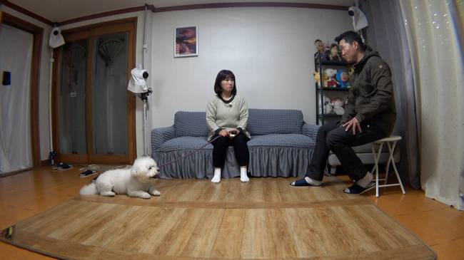 KBS 2TV ‘개는 훌륭하다’