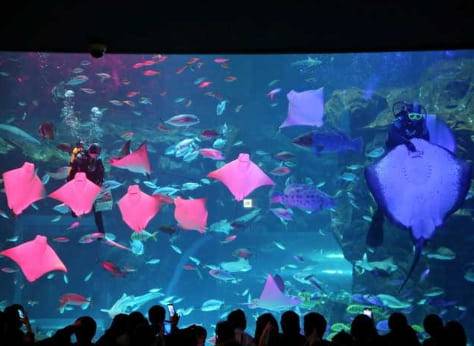 온라인 커뮤니티