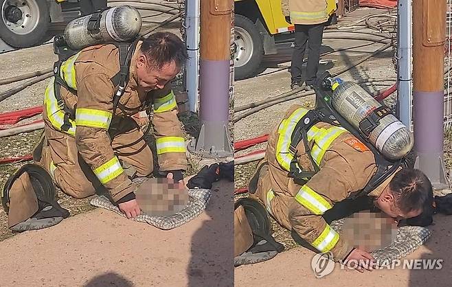 '소중한 생명 구하기 위해' (군산=연합뉴스) 8일 오전 전북 군산시 한 반려동물 분양업체 화재 현장에서 군산소방서 이호용 소방위가 강아지들을 구조하기 위해 심폐소생술을 하고 있다.
    이 소방위는 여러 차례 심폐소생술을 했으나 이 강아지들은 끝내 숨을 거뒀다고 소방 당국은 전했다. 2024.3.8 [전북특별자치도소방본부 제공. 재판매 및 DB금지] jaya@yna.co.kr