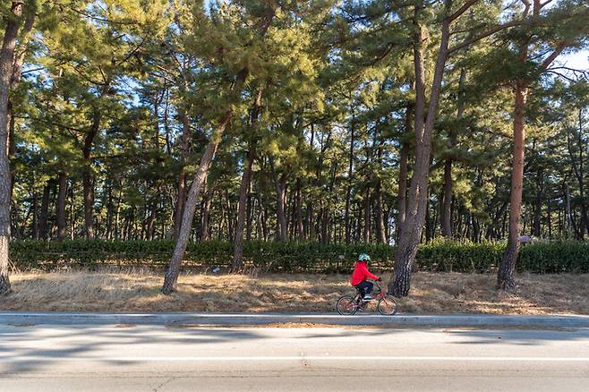연곡해변 부근 자전거길 / 사진=한국관광공사
