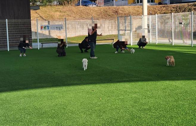 반려동물과 함께 떠날 수 있는 여행지와 숙소 등을 소개한다. 사진은 의성 펫월드. /사진=의성 펫월드 홈페이지