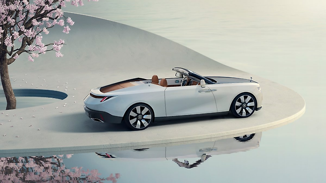 아르카디아 드롭테일