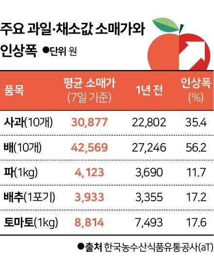주요 과일 채소값 소매가. 그래픽=신동준 기자