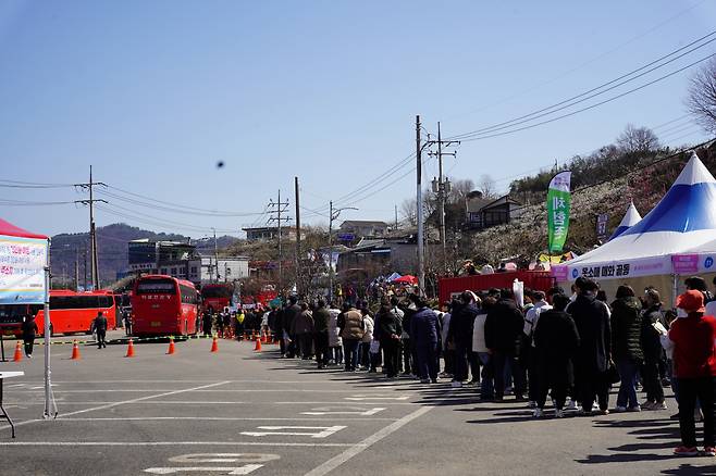 Visitors wait for shuttle buses at Gwangyang Maehwa Village on Saturday. (Lee Si-jin/The Korea Herald)