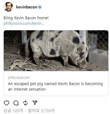 배우 케빈 베이컨은 2023년 11월 펜실베이니아주 필라델피아에서 가출한 돼지 '케빈 베이컨'을 찾아주자는 글을 메타 스레드에 올렸다.