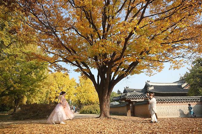 10월 30일 오후 서울 경복궁에서 관광객과 시민들이 깊어가는 가을을 즐기고 있다. / 장련성 기자