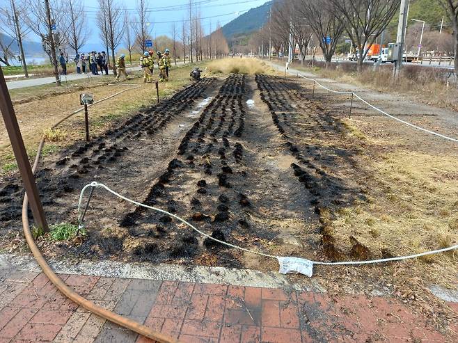 사진 제공 대구소방본부