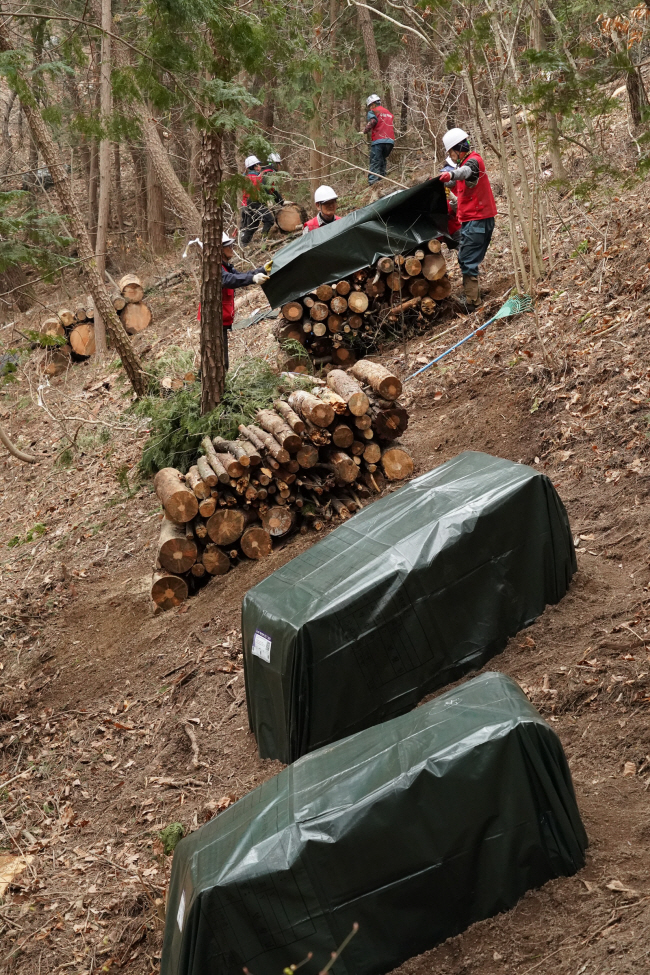 최근 소나무재선충병이 기승을 부리고 있는 울산 울주군 문수산 일대에서 작업자들이 감염목을 베어 처리하고 있다.  산림청 제공