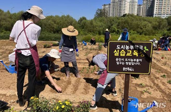 [용인=뉴시스] 도시농부학교 텃밭교육에 참가한 시민들 모습(용인시 제공)