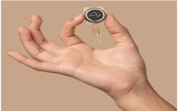 뉴럴링크사의 N1칩