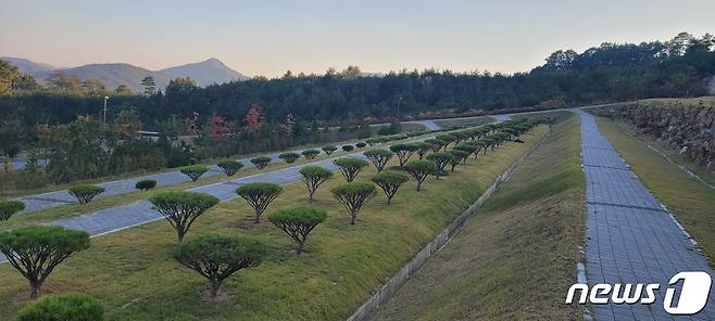 하늘빛공원 자연장지 수목장.(진천군 제공)/뉴스1