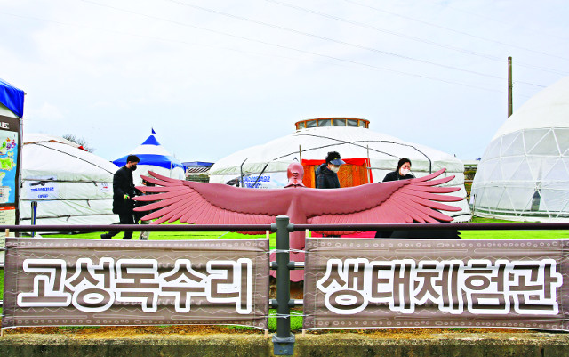 독수리 월동 기간에 임시 설치되는 고성독수리생태체험관. 한국관광공사 제공