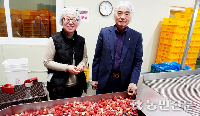 경북 고령 쌍림농협 박상홍 조합장(오른쪽)과 송지영 농산물산지유통센터장이 포장 전의 냉동딸기를 살펴보고 있다.