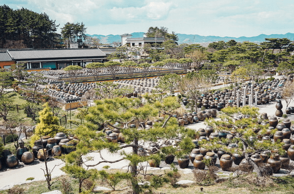 온라인 커뮤니티