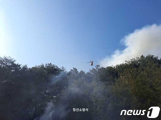 강원 정선군 정선읍 덕송리 산불 현장.(강원도소방본부 제공)