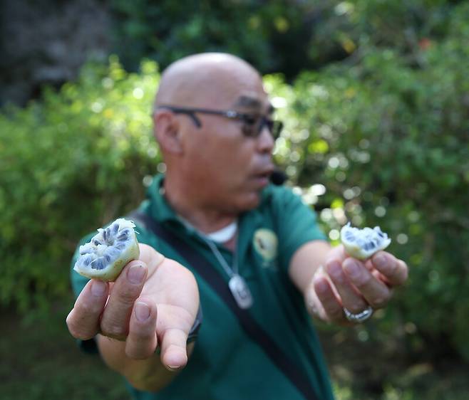 정글 탐험 프로그램 안내자 이강돈씨가 열대 과일 설명을 하고 있다. 박미향 기자